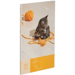 【クリックでお店のこの商品のページへ】ミニピタットアルバム 子猫オレンジ AP-M02OR