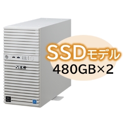 Express5800/D/T110k Xeon E-2314 4C/8GB/SSD 480GB*2 RAID1/W2022/^[ 3Nۏ NP8100-2902YQ6Y