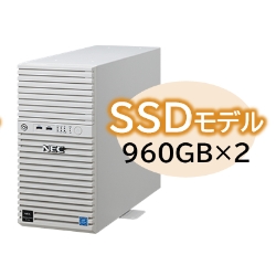 Express5800/D/T110k Xeon E-2314 4C/8GB/SSD 960GB*2 RAID1/W2022/^[ 3Nۏ NP8100-2902YQ7Y