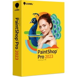 PaintShop Pro 2023 312010