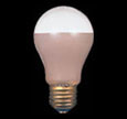 養鶏用電球 YOUKEI 110V30WBRA