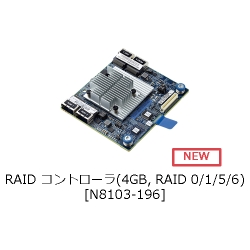 RAIDRg[(4GB RAID 0/1/5/6) N8103-196