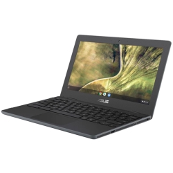 ASUS Chromebook C204MA-GA0030