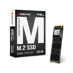ቿiNVMe SSD BIOSTARo!SATA葬SSDł M700 series 256GB SSD M700-256GB