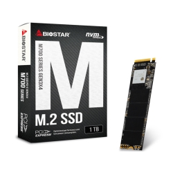 ቿiNVMe SSD BIOSTARo!SATA葬SSDł M700 series 1TB SSD M700-1TB