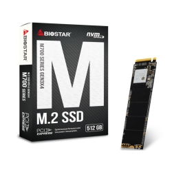 BIOSTAR M.2 NVMe SSD 512GB M700 Series