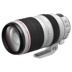 Canon EF 100-400mm 1:4.5-5.6 L IS USM