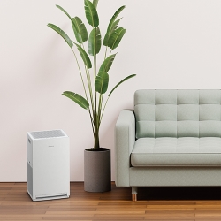 ダイキン ストリーマ空気清浄機 （ホワイト） MC556A-W - NTT-X Store