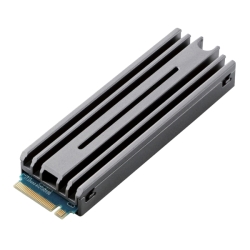 M.2 PCIeڑSSD/PS5p/500GB ESD-IPS0500G