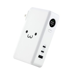 DE-AC13-10000WF