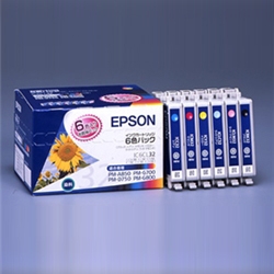エプソン インクカートリッジ 6色パック (PM-G800/G700/D750/A850用