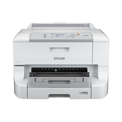 A3ノビ対応カラービジネスインクジェットプリンター/PX-S7050+PXA3CU1/DIS向けオリジナルセットモデル/期間限定 PX-S705ZD