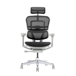 EHP2-HAM-DR-GF-BK�yPU�z�V��� �G���S�q���[�}�� �v��II �n�C�^�C�v �V��� �O���[�t���[��/�u���b�N