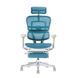 EHP2-LPL-DR-GF-BL�yPU�z�V��� �G���S�q���[�}�� �v��II �n�C�^�C�v �I�b�g�}���t �V��� �O���[�t���[��/�u���[