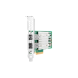 HPE Ethernet 10Gb 2-port SFP+ QL41401-A2G Adapter P08446-B21