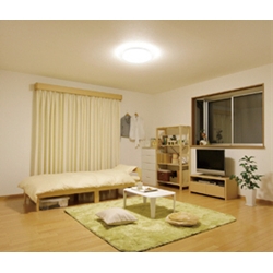 アイリスオーヤマ LEDシーリングライト N1シリーズ 4000lm 8畳 調光