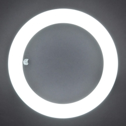 IRIS OHYAMA 丸型LEDランプ LDFCL3030D 2個セット IRIS OHYAMA（アイリスオーヤマ） エコハイルクス 丸形LEDランプ（LED