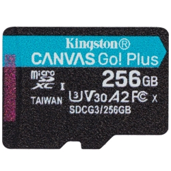 256GB microSDXCJ[h Canvas Go! Plus Class 10 UHS-I U3 170R/90W SDA_v^ SDCG3/256GBSP