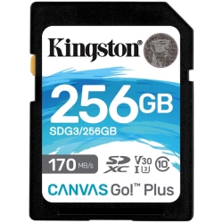 256GB SDXCJ[h Canvas Go! Plus Class 10 UHS-I U3 R:170MB/b W:90MB/b SDG3/256GB