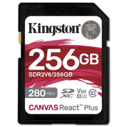 Canvas React Plus V60 SD J[h 256GB SDR2V6/256GB