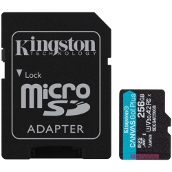 SDCG4/256GB