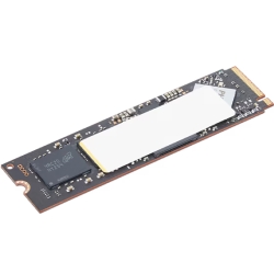 ThinkPad 1TB Performance PCIe Gen4 NVMe OPAL2.0 M.2  �\���b�h�X�e�[�g�h���C�u IV