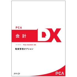 PCAvDX dǗIvV 2CAL DENSAIDX2C