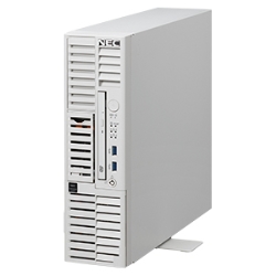 Express5800/T110i-S(4C/E3-1220v6/8G/2HD-W2012R2) Xeon SAS 300GB*2/RAID1 NP8100-2498YPGY