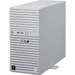 Express5800/T110i(2C/G4560/8G/2HD-W2012R2) Pentium SATA 500GB*2/RAID1 NP8100-2505YP9Y