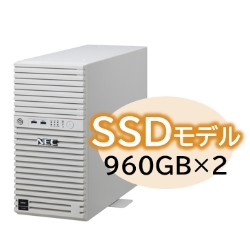 Express5800/D/T110m Xeon E-2414 4C/16GB/SSD 960GB*2 RAID1/W2022/^[ 3Nۏ NP8100-2995YP6Y