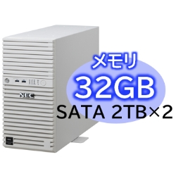 Express5800/D/T110m Xeon E-2414 4C/32GB/SATA 2TB*2 RAID1/W2022/^[ 3Nۏ NP8100-2995YP7Y