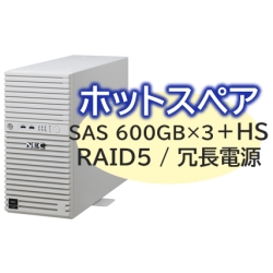Express5800/D/T110m Xeon E-2436 6C/32GB/SAS 600GB*4 RAID5/W2022/^[ 3Nۏ NP8100-2995YPAY