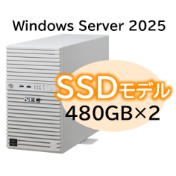 NP8100-3026YPAY