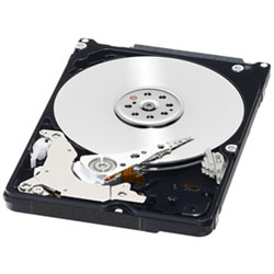 2.5C`HDD 750GB SATA/3.0Gb 7200rpm 16MB WD7500BPKT-R