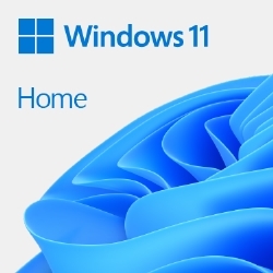 マイクロソフト(DSP) Windows 11 Home 64bit Japanese DSP DVD 【LAN