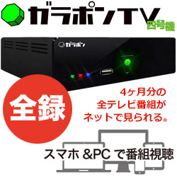 ガラポンTV四号機 www.sudouestprimeurs.fr