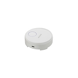 RICOH Wireless Projection Option Button2 514301