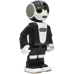 RoBoHoN 本体 充電ドック セット シャープ RoBoHoN ロボホン 開発専用モデル ロボット型端末 SR