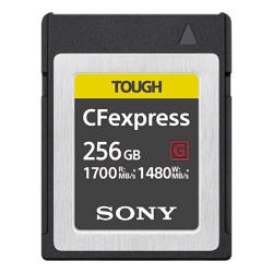 CFexpress Type B [J[h 256GB CEB-G256