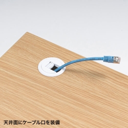 サンワサプライ 19インチマウントボックス(10U D600) CP-501
