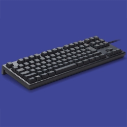東プレ REALFORCE TKL S R2 日本語 テンキーレスキーボード（91