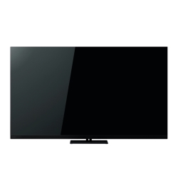 �yREGZA�z4K�t���e���r 75V�^ MiniLED �n�C�O���[�h���f�� 2025�N���f��
