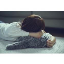 ユカイ工学 Qoobo ハスキーグレー YE-QB001G