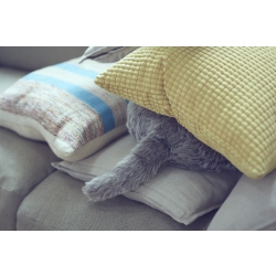 ユカイ工学 Qoobo ハスキーグレー YE-QB001G