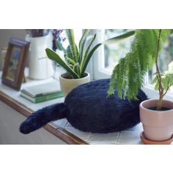 ユカイ工学 Qoobo ハスキーグレー YE-QB001G