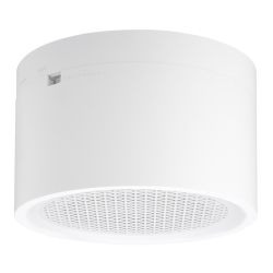 hHVIo^Xs[J[iAbel[^tj F