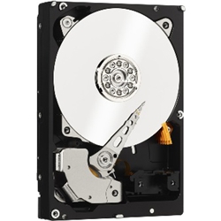 3.5C`HDD 2TB SATA6.0Gb/s 7200rpm 64MB 800GB/plt WD2000FYYZ-R