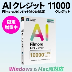 WS-FAI10000JP