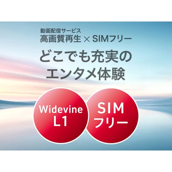 ���i�⑫�摜9