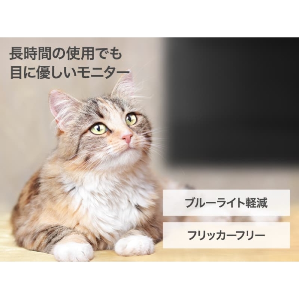 ���i�⑫�摜6